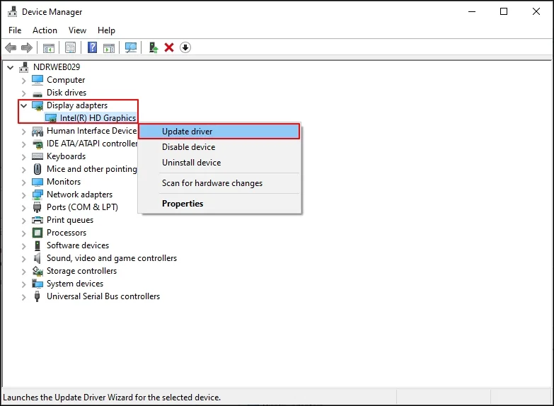Open Display adapters and click to update